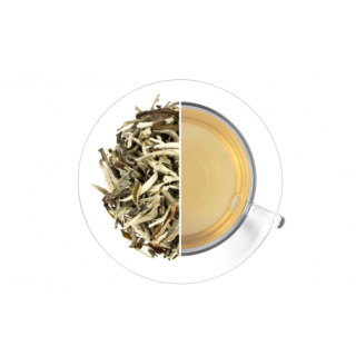 Jasmin White Pai Mu Tan 30g