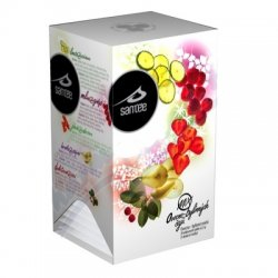 Santee fruit maxi 20 x 2,5 g